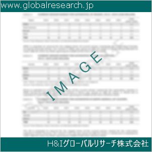 グローバルリサーチ調査資料のイメージ